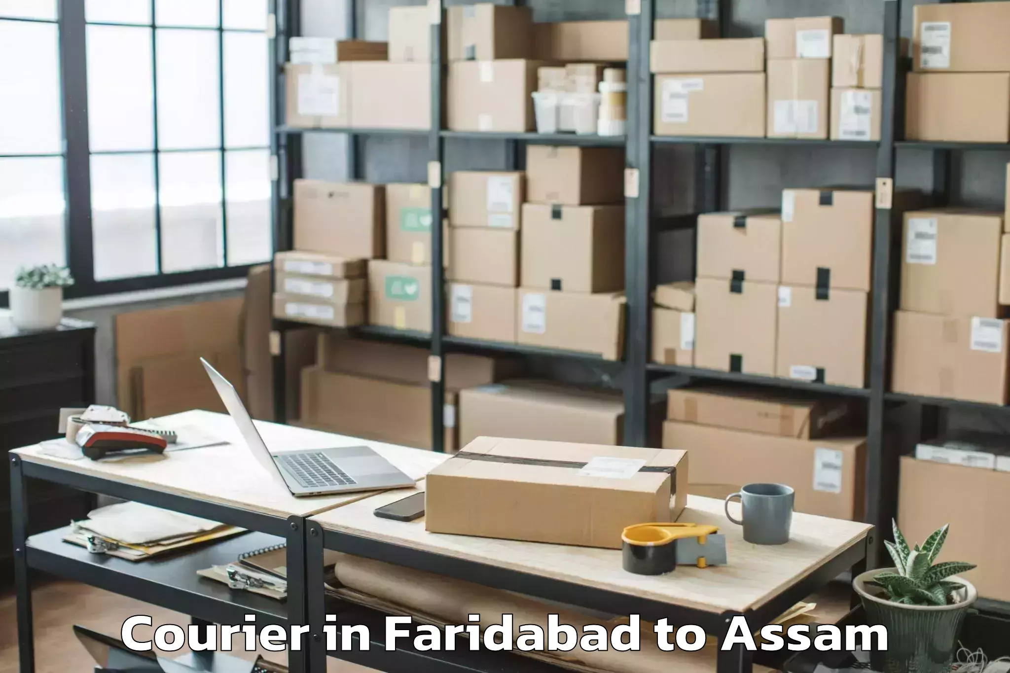 Easy Faridabad to Dhakuakhana Courier Booking